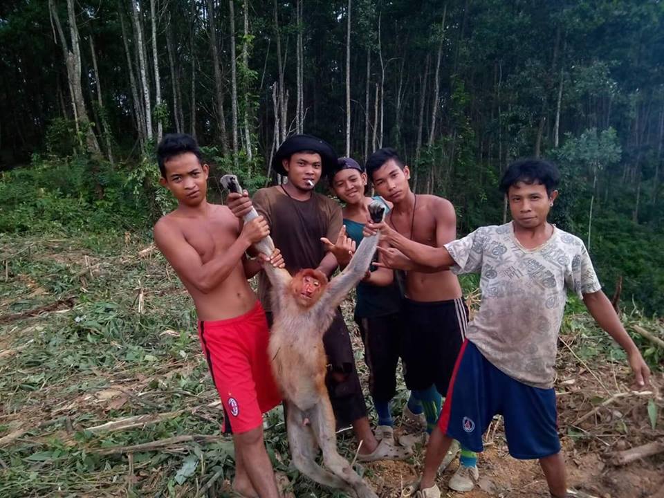 Para pelaku yang mengunggah foto dengan bekantan mati ini sudah diketahui identitasnya. Foto: akun Facebook Adam Usu Firdaus 