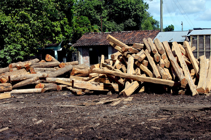 Pelaku Usaha Kayu  Belum Maksimal Terapkan SVLK Apa 