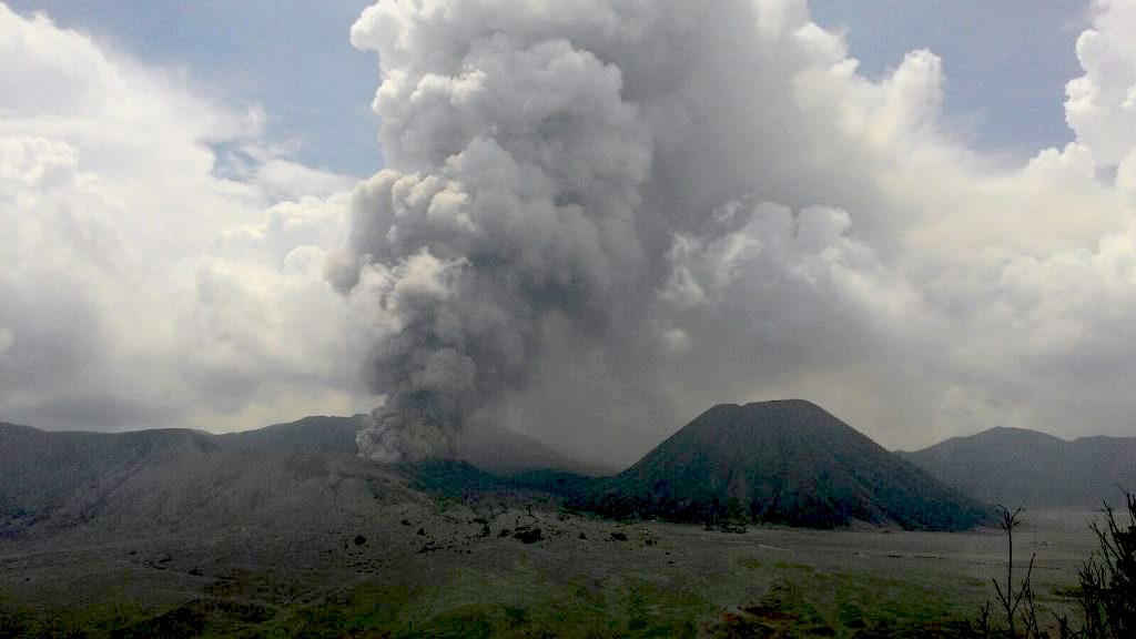 Erupsi Gunung Bromo. Foto: Profauna