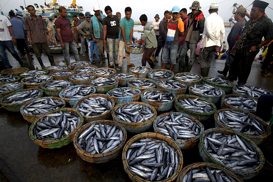 Kekayaan ikan laut di indonesia banyak hilang dicuri oleh nelayan asing karena