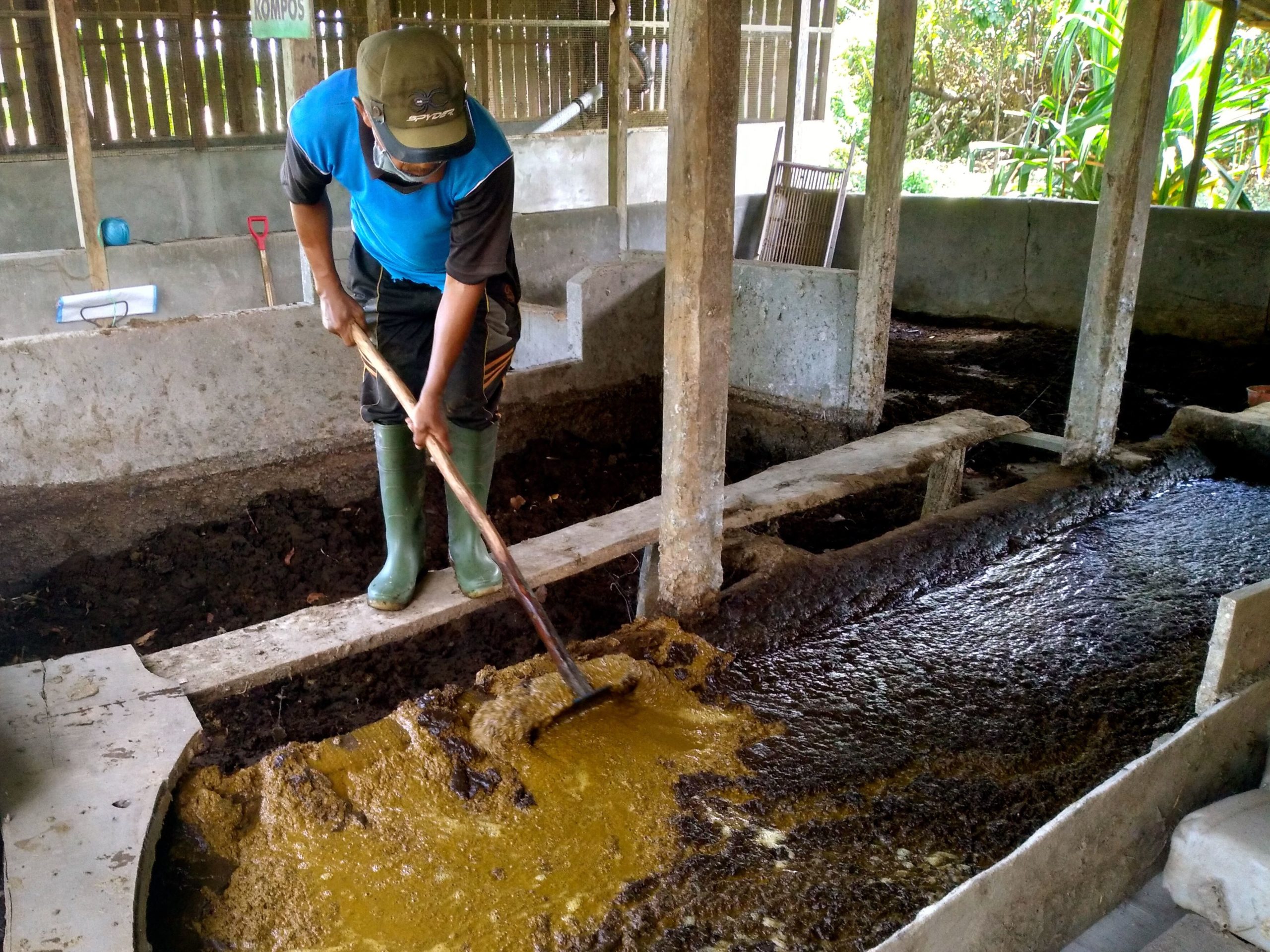 Konsep Zero Waste Dalam Pemanfaatan Limbah Ternak Di Pinrang Mongabay Co Id Mongabay Co Id