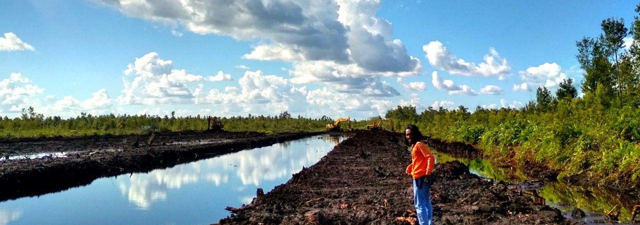 Kanal primer eks PLG di Kabupaten Pulang Pisau, Kalimantan Tengah yang ditutup secara permanen. Nantinya ditengah hanya disisakan salurah air untuk jalur transportasi warga. Foto: Indra Nugraha/ Mongabay Indonesia