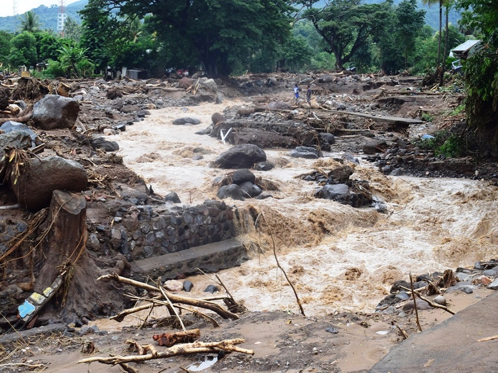 Pasca Banjir Bandang Di Ntt Saatnya Menanam Pohon Mongabay Co Id