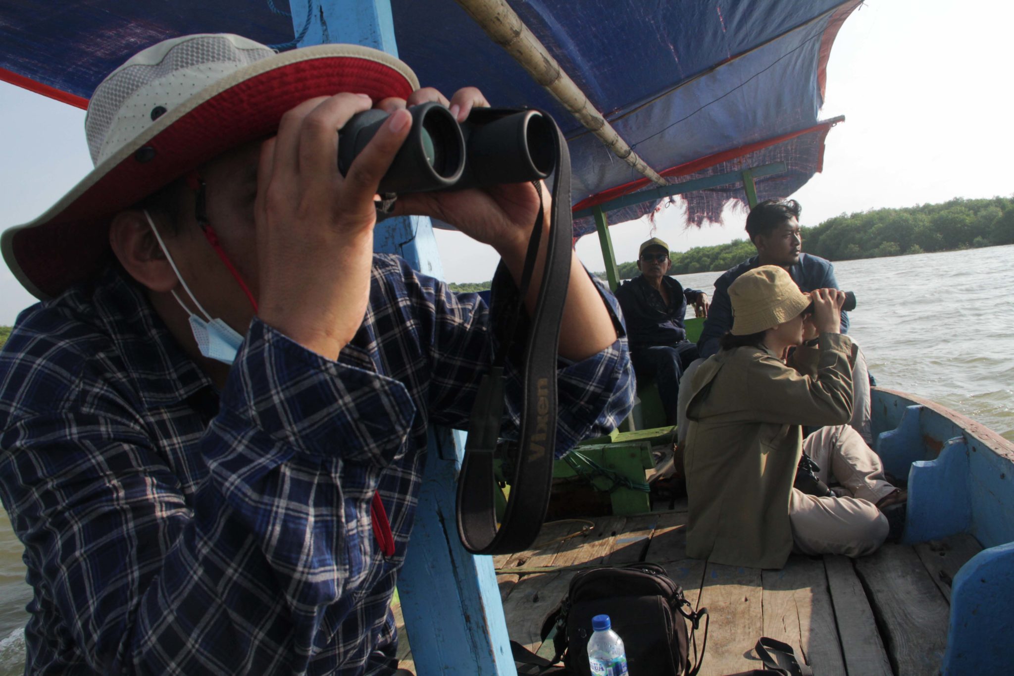 Kee Mangrove Ujung Pangkah Lokasi Seru Melihat Burung Air Id 