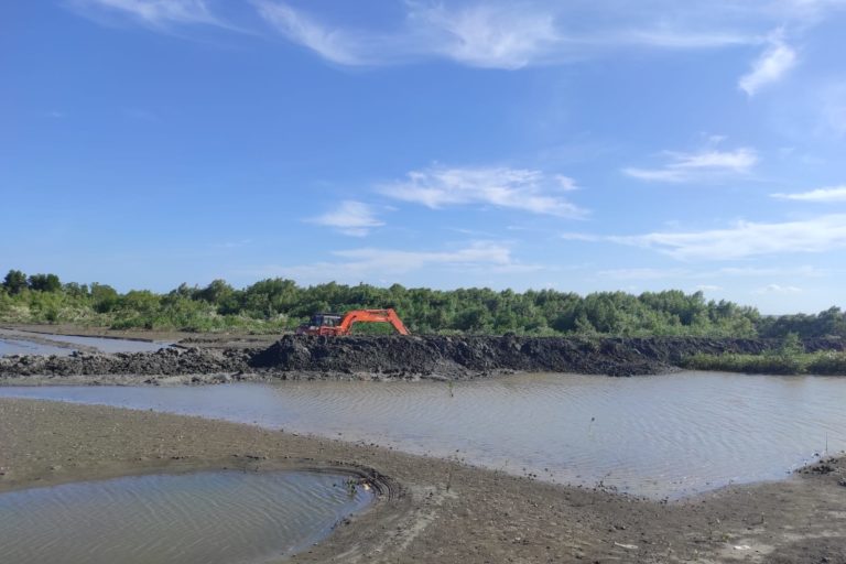 Demi Tambak Kawasan Mangrove Di Pinrang Dibabat Habis Mongabay Co Id