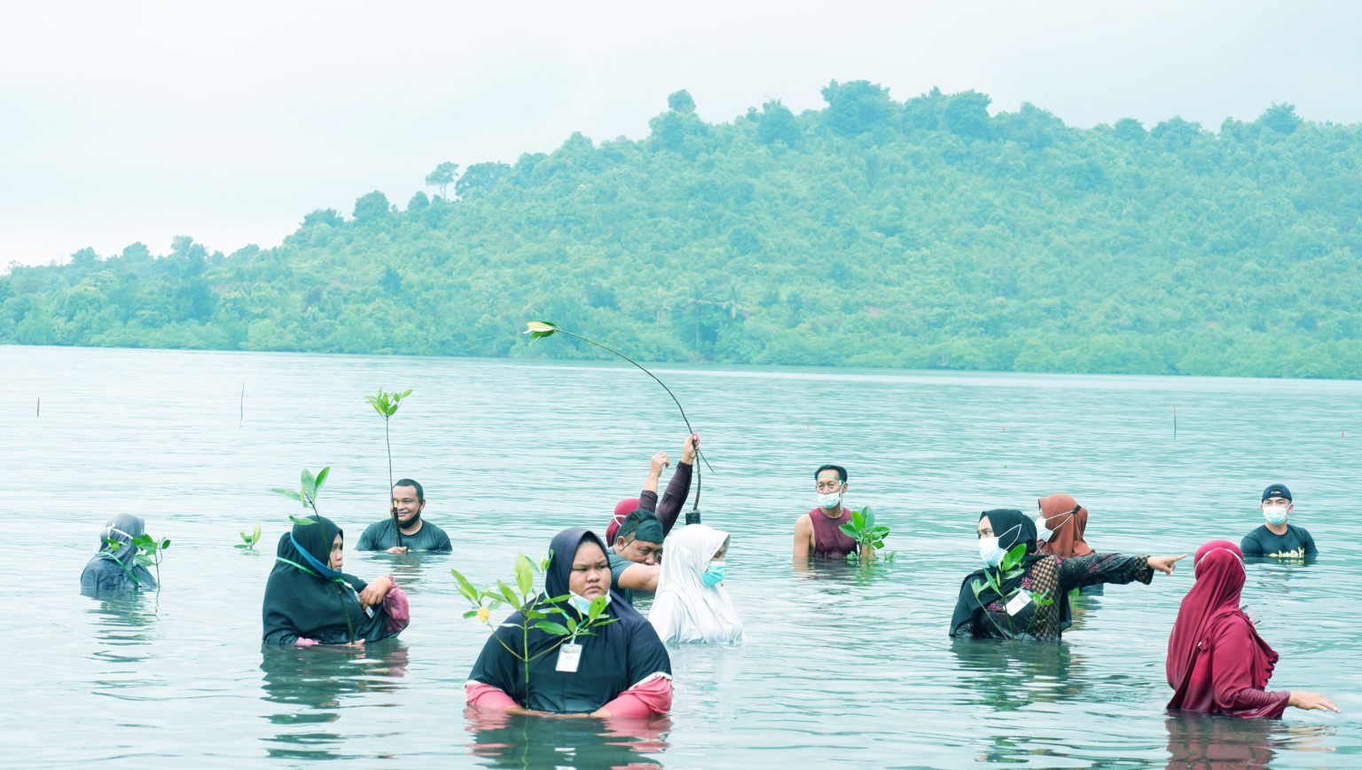 Biaya Restorasi Pesisir Jauh Lebih Mahal Dibanding Menjaga Eksisting ...