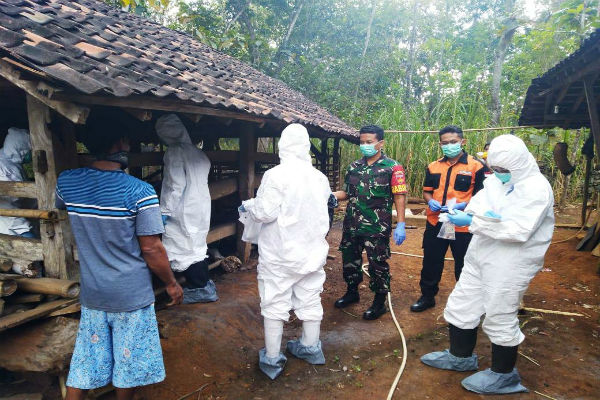 Waspada Zoonosis, Antraks Mewabah Di Gunung Kidul - Mongabay.co.id