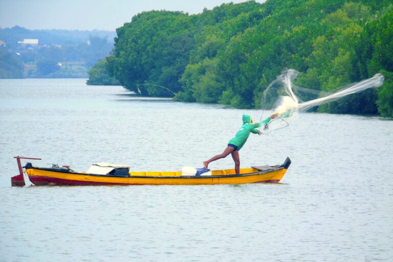 Mangrove, Benteng Terakhir Ketahanan Pangan Nelayan yang Terancam