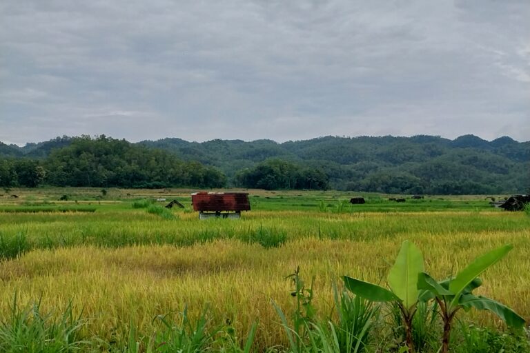 Tambang dan Pabrik Semen Wonogiri Rawan Konflik Sosial