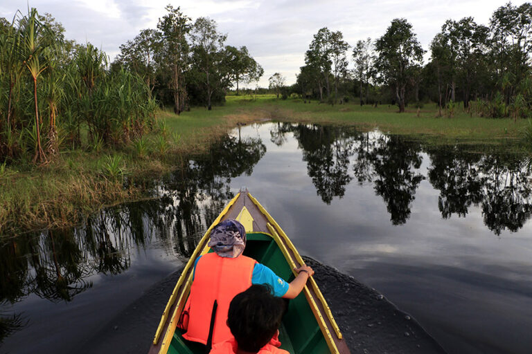 Studi: Jadi Ekosistem Penting Penyimpan Karbon, Baru 17% Lahan Gambut Dilindungi di Dunia