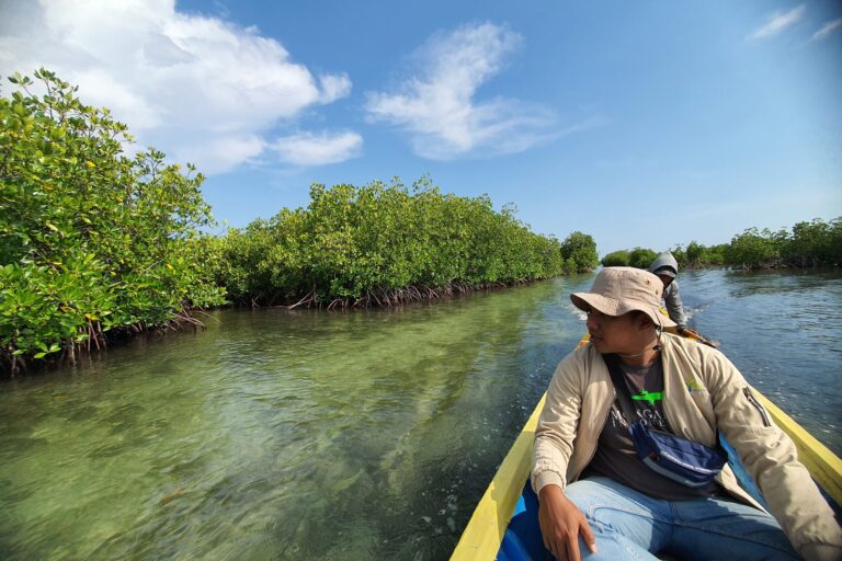 Peluang Dana Konservasi Mangrove di Asia Tenggara dan Ancaman Deforestasinya