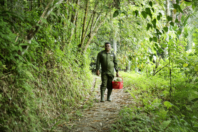 Orangutan Teraniaya Butuh Resolusi Segera dari Kita