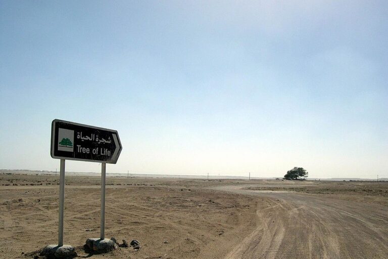 Di tengah bentang pasir Bahrain yang sunyi dan menyengat, berdiri satu-satunya makhluk hidup yang tetap bertahan: sebuah pohon tua yang menghijau sendirian. Pohon Kehidupan | Public Domain
