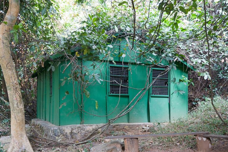 Tempat khusus di mana Jane Goodall biasa memberi makan simpanse Gombe | Foto oleh Ikiwaner - Own work, GFDL 1.2, https://commons.wikimedia.org/w/index.php?curid=11344098