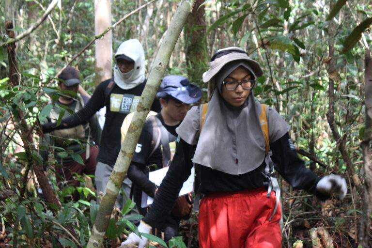 Terobosan! Teknologi Pelacakan Kayu Canggih Cegah Deforestasi Ilegal di Indonesia