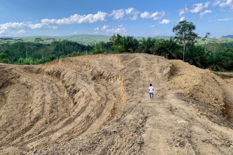 Kebun petani di RT 13, Desa Muara Kilis digusur WKS, meski lokasi yang dimitrakan MJTI dengan WKS berada di RT 14, Dusun Benteng Makmur. Foto: Teguh Suprayitno/Mongabay Indonesia