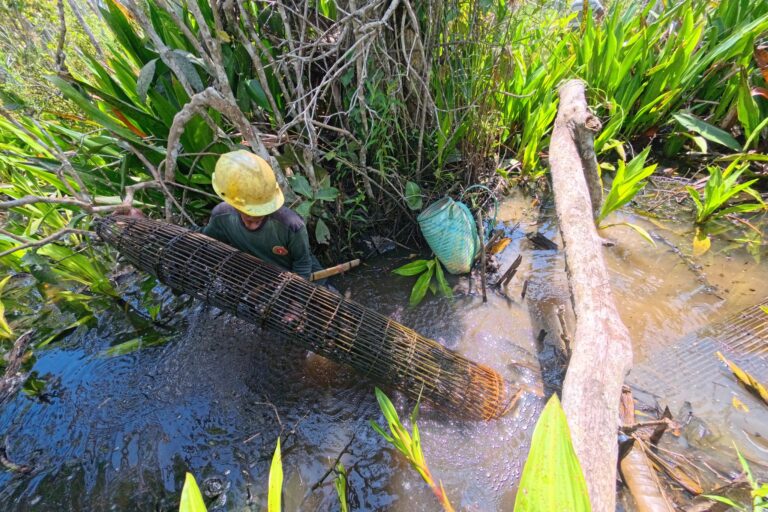 Nelayan dan Petani Kotabaru Terdampak Tambang Batubara
